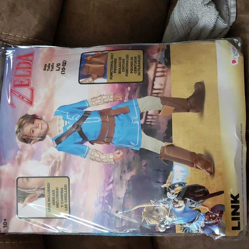 Link costume